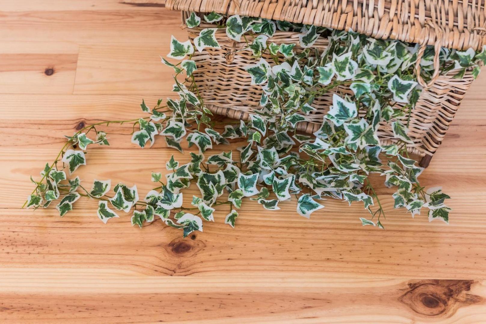 Guestready - Coral Apartment بورتو المظهر الخارجي الصورة